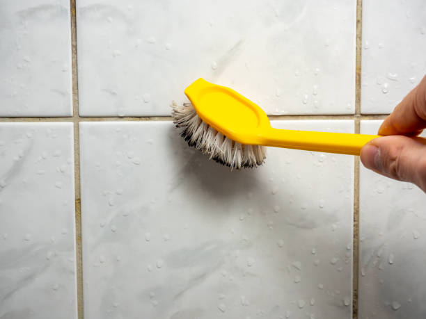 Best Professional Mold Removal  in Farmingdale, NY